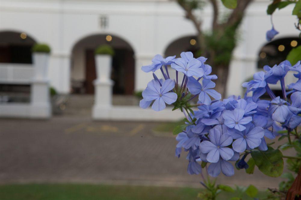 Tamarind Hill Hotel Galle Eksteriør billede
